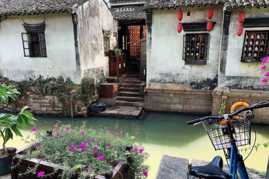这是海参吗？